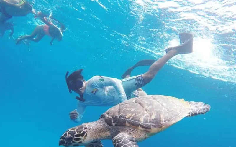 From Cozumel: 3 Reefs Boat Tour with Drinks and Snorkeling — boat tours and day cruises from Cozumel, Mexico