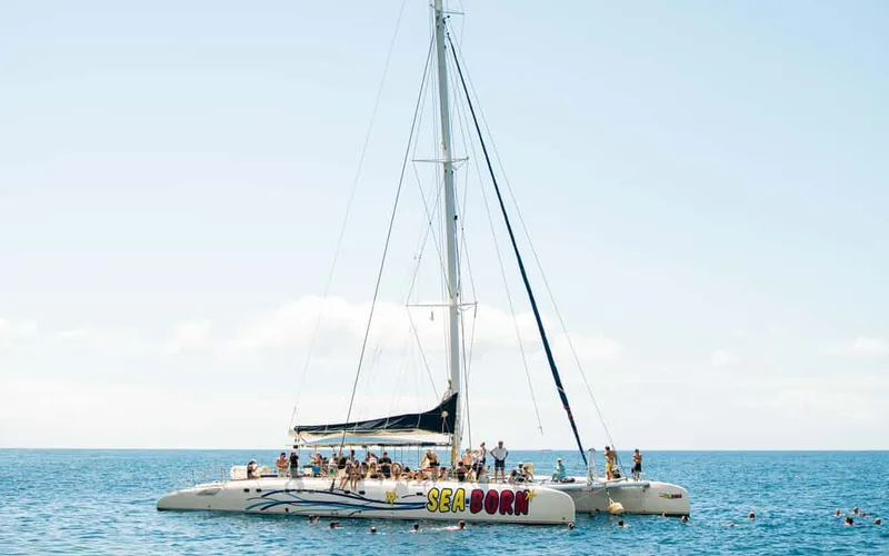 Funchal: Dolphin and Whale Watching Catamaran Cruise — boat tours and day cruises from Madeira, Portugal