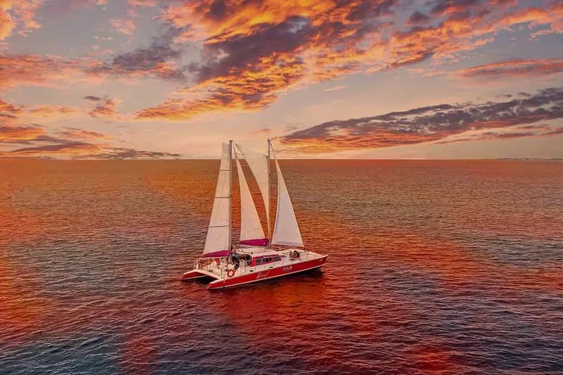 Snorkel with Turtles at WW2 Shipwreck & Sunset BBQ — a boat tour from Aruba, Aruba