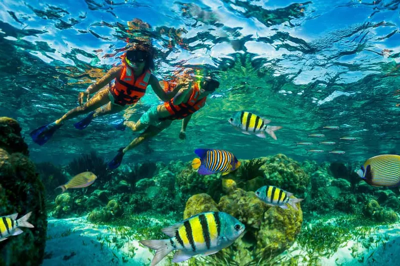 Puerto Morelos: Snorkel, Town Walk, Tequila & Beach Lunch — a boat tour from Cancun, Mexico
