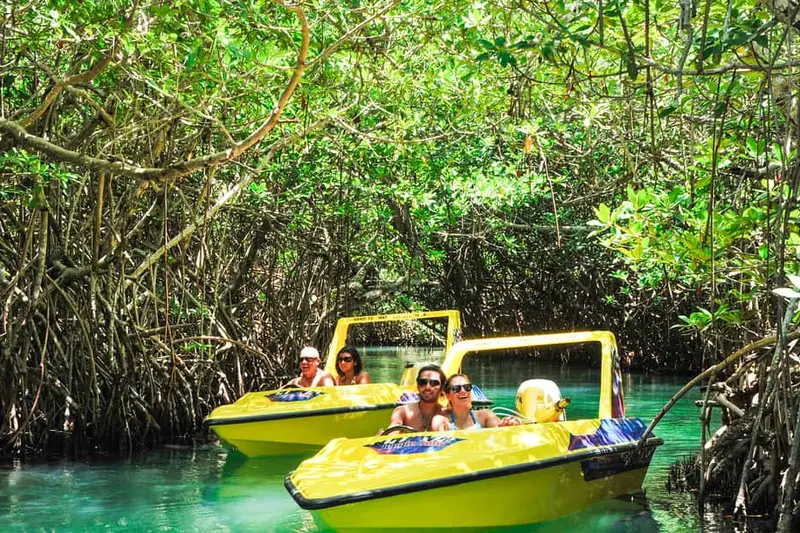 Speedboat Mangrove Jungle & Snorkel Tour — a boat tour from Cancun, Mexico
