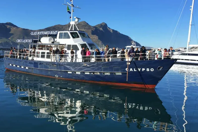 From Cape Town: Glass-Bottom Boat Seal Watching Tour — a boat tour from Cape Town, South Africa