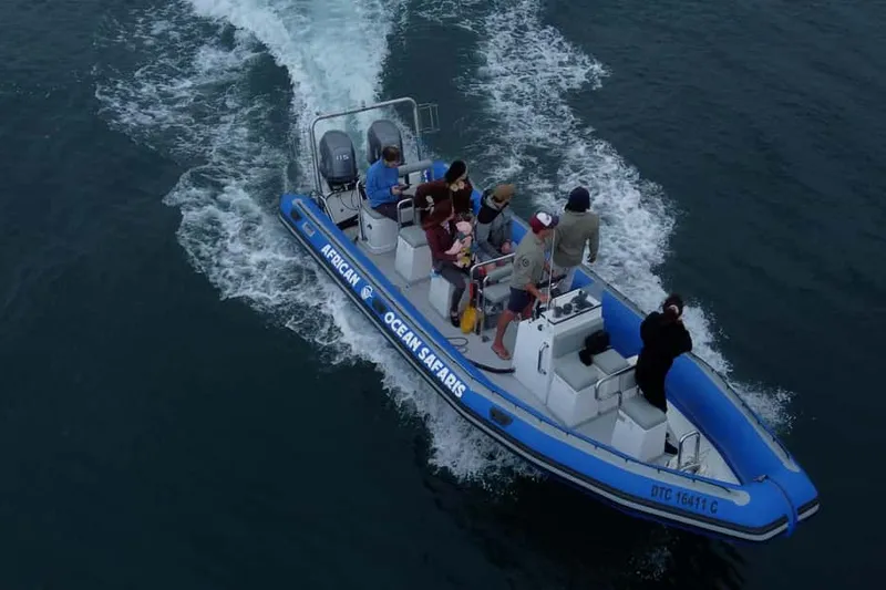 Marine Biologist-Led Safari Tour - V&A Waterfront — a boat tour from Cape Town, South Africa