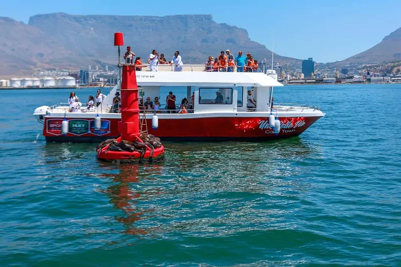 30-Minute V&A Waterfront Harbour Cruise Cape Town — a boat tour from Cape Town, South Africa