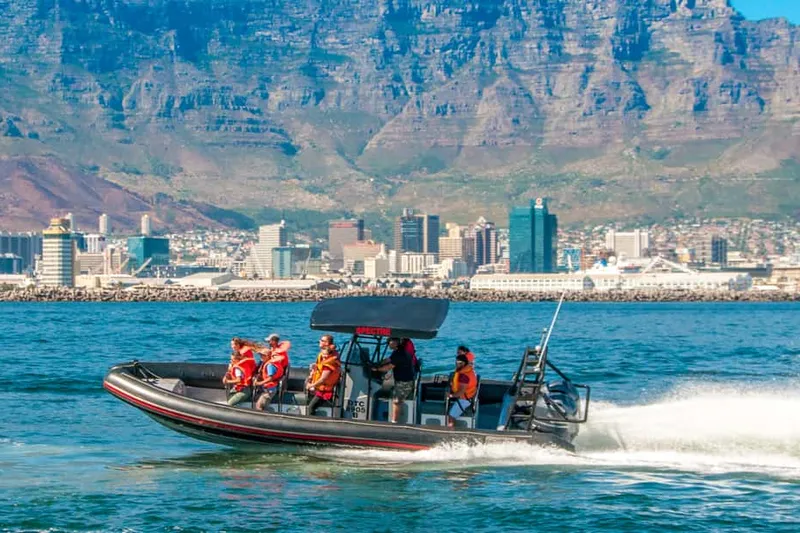 Cape Town Ocean Safari: Speed Boat Adventure in Table Bay — a boat tour from Cape Town, South Africa