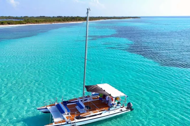 4-Hour Turtle Sanctuary Experience on a Luxury Catamaran — a boat tour from Cozumel, Mexico