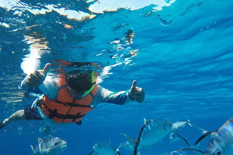 Snorkeling with Starfish, Stingrays, El Cielo with Drinks, Ceviche & More — a boat tour from Cozumel, Mexico