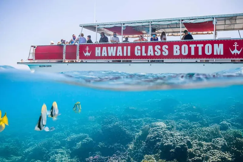 Day-cruise boats at Kewalo Basin on a boat tour from Honolulu, USA