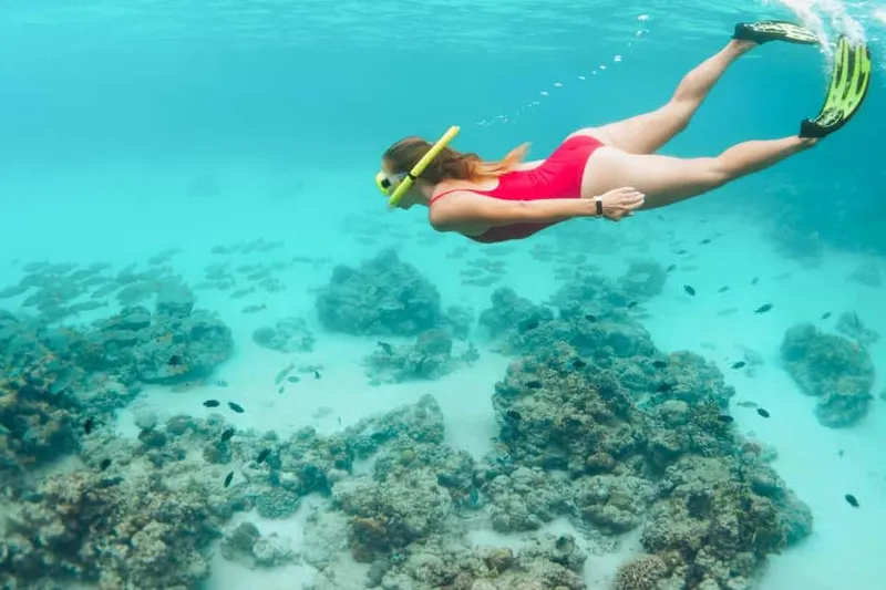 West Oahu: Turtles, Dolphins, and Snorkeling Tour with Lunch — a boat tour from Honolulu, USA