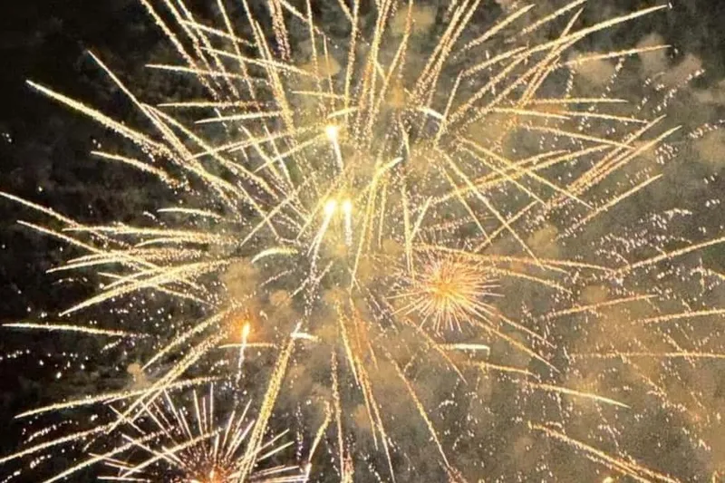 1-Hour Friday Night Fireworks Cruise with Drinks — a boat tour from Honolulu, USA