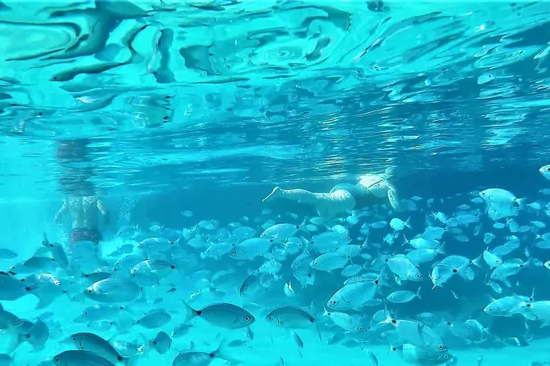 Snorkeling and SUP Paddle, Beach and Cave Tour — a boat tour from Ibiza, Spain