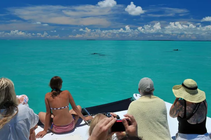 Day-cruise boats at Historic Seaport on a boat tour from Key West, USA