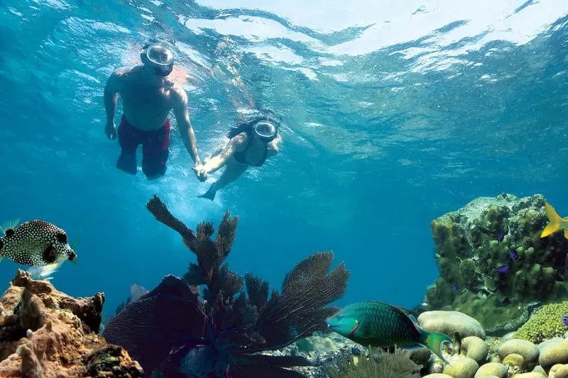 Reef Snorkeling with Drinks and Sunset Option — a boat tour from Key West, USA
