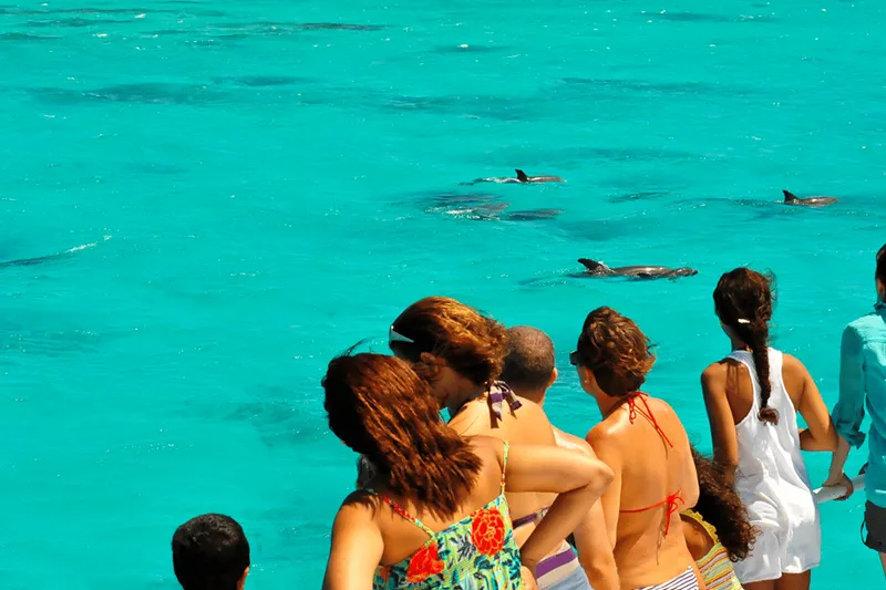 Dolphin & Reef Snorkel Trip with Sunset Option — a boat tour from Key West, USA