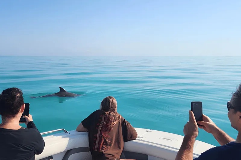 Key West Dolphin & Snorkel Tour - Small Group — a boat tour from Key West, USA