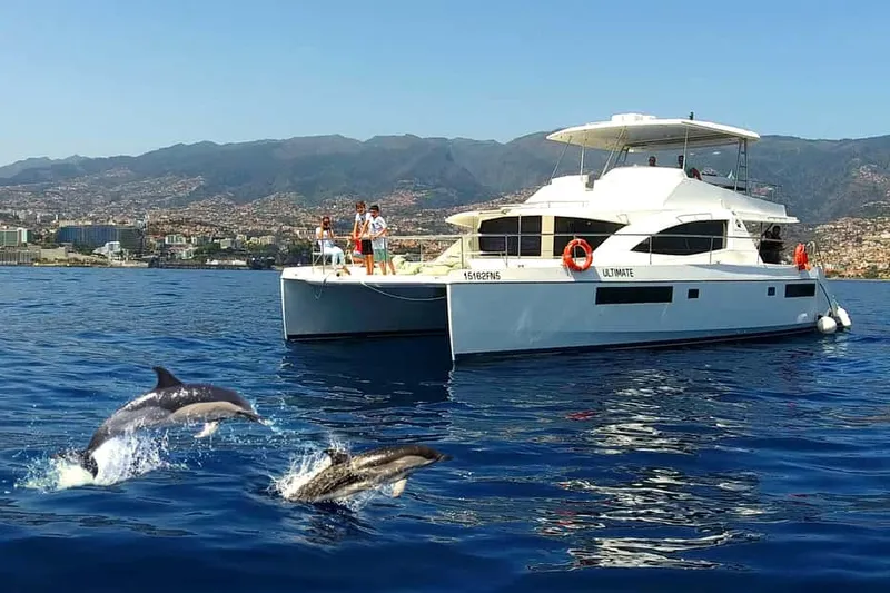 All-Inclusive Whale and Dolphin Watching Luxury Tour — a boat tour from Madeira, Portugal