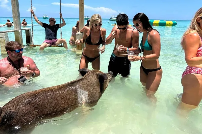 Pigs, Snorkel, Turtles, Lunch, Private Beach Club — a boat tour from Nassau, Bahamas