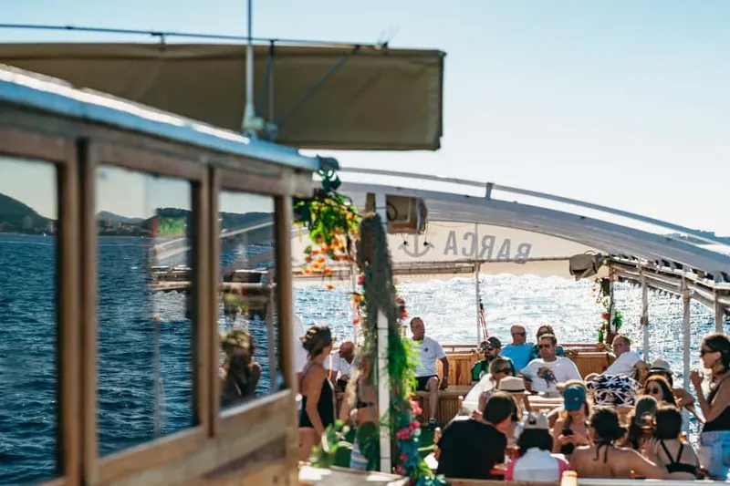 Daytime Fun Cruise with Swim Stop & Music — a boat tour from Palma de Mallorca, Spain